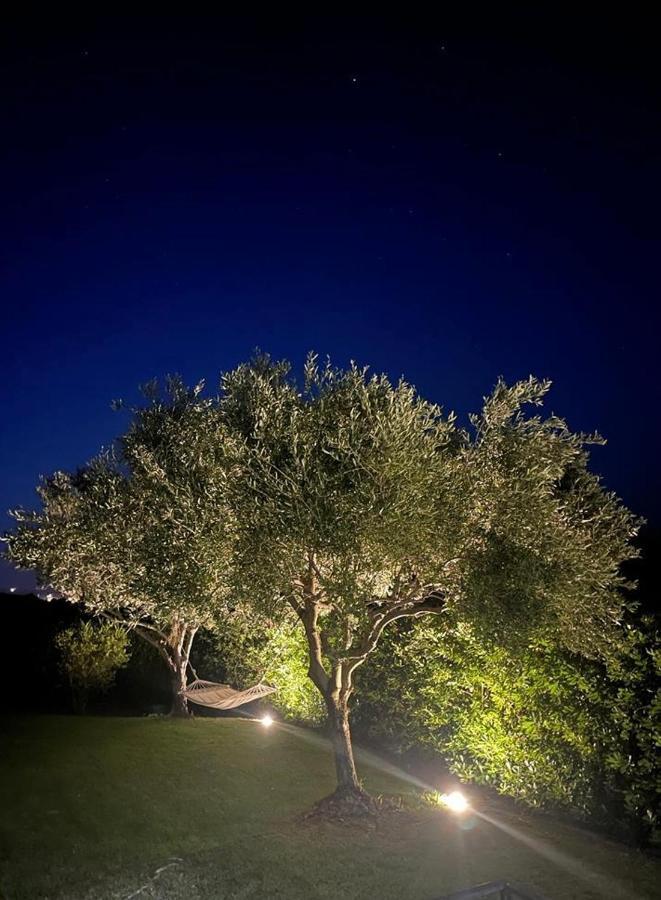 Villa Aurelia Сан-Теодоро Экстерьер фото